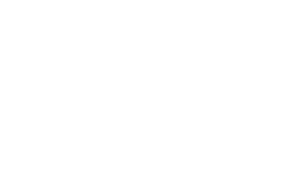 HOLON | A HANDCRAFTED GIN FOR HOLONIC THOUGHT AND LIFE.