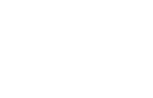 HOLON | A HANDCRAFTED GIN FOR HOLONIC THOUGHT AND LIFE.